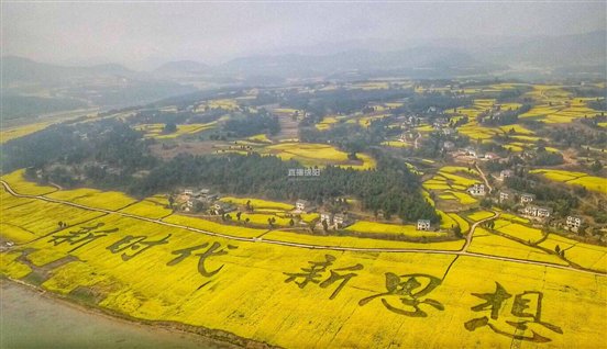 绵阳去哪儿看油菜花最全油菜花观赏攻略